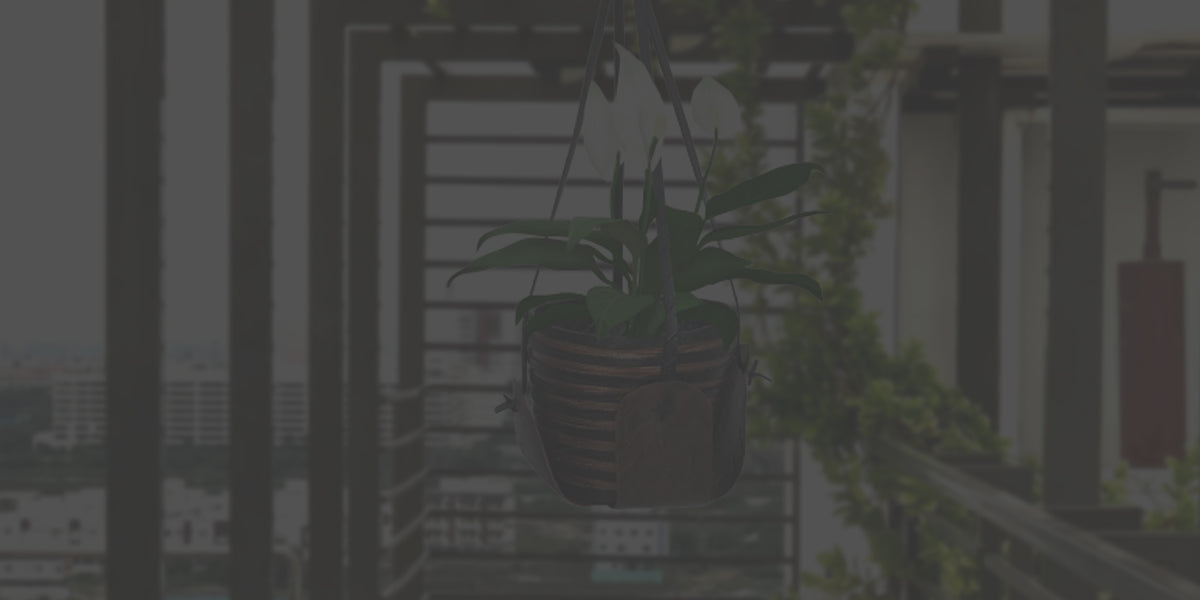 Macrame hangers Plant hangers for siding