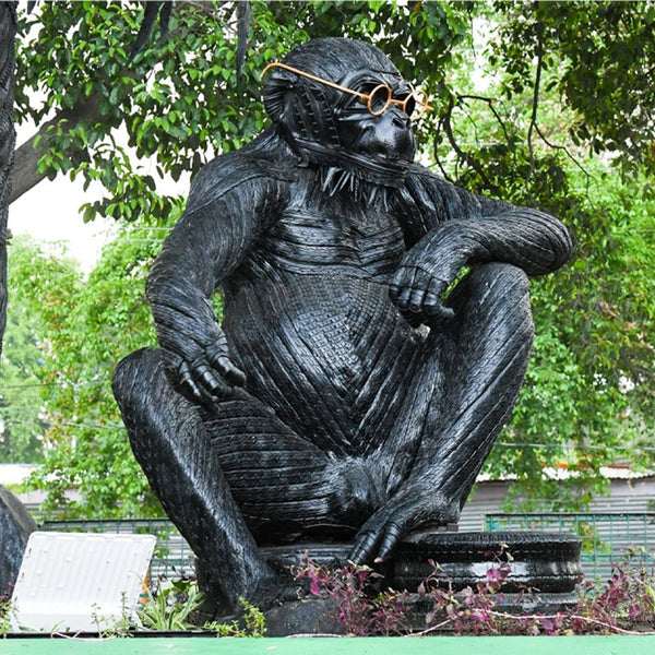 Chimpanzee