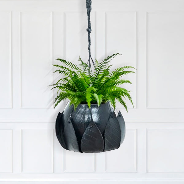 Lotus Plant Hanger
