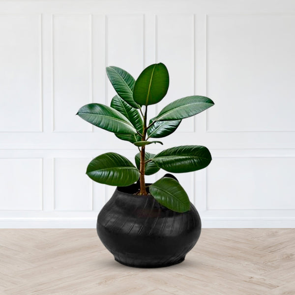 Matka Planter