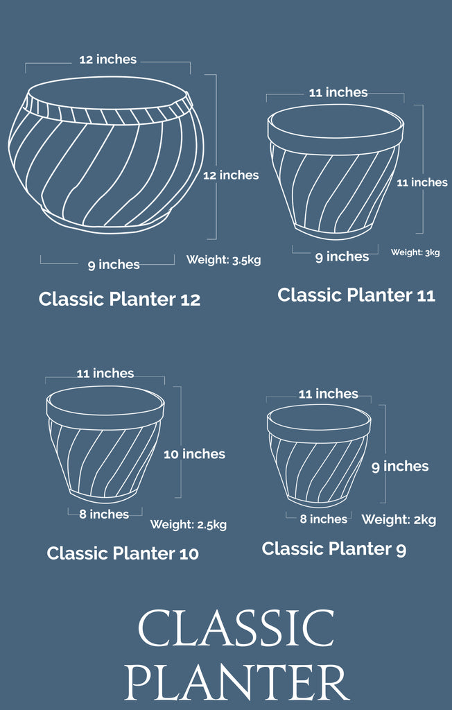 10 Inches Pots – De'Dzines