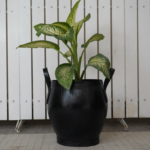 PLANTER
