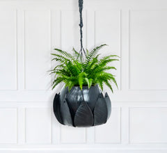 Lotus Plant Hanger