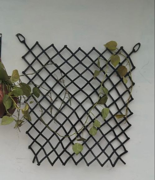 Wall-Mounted fence for Creepers - De'Dzines